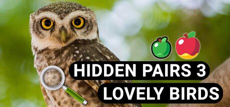 Hidden Pairs 3: Lovely Birds