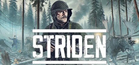Screenshot of STRIDEN